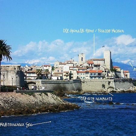 2 Bedroom Modern Apartment In Antibes With Sea View Kültér fotó